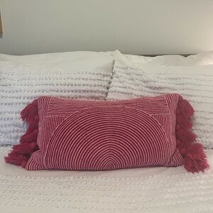 Pink Tassel Pillow